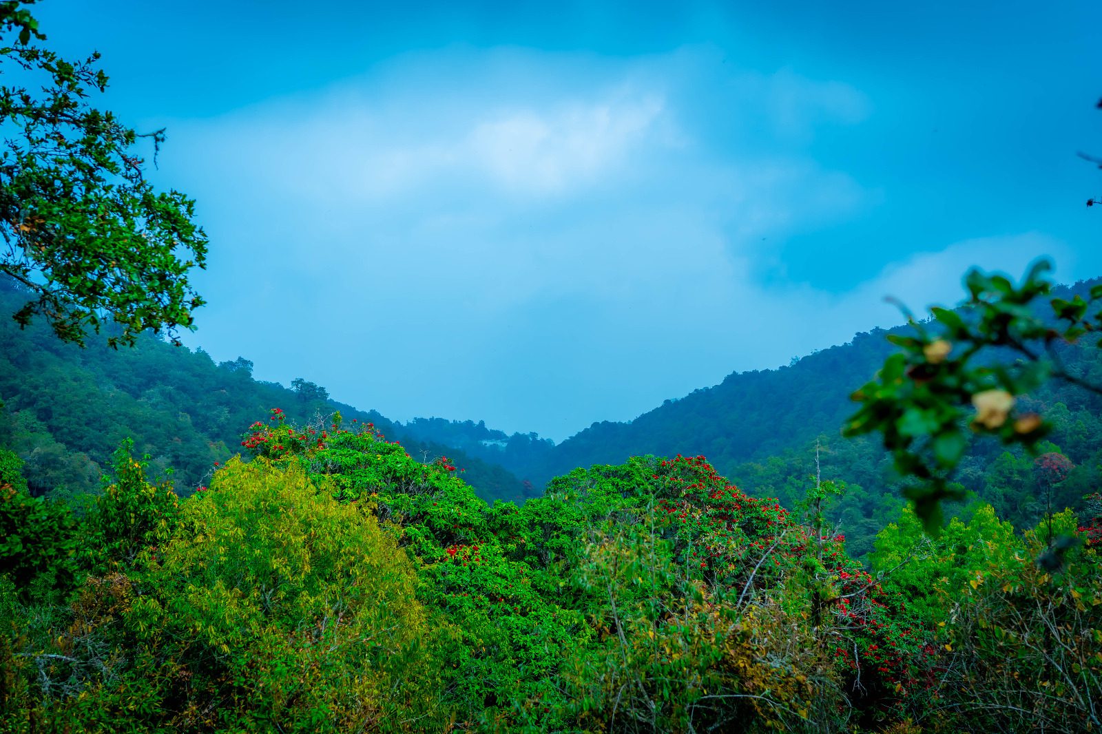 Sustainability Initiative Launched